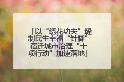 以“绣花功夫”缝制民生幸福“针脚” 宿迁城市治理“十项行动”加速落地